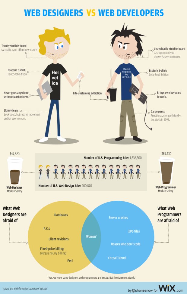 Web Designers VS Web Developers